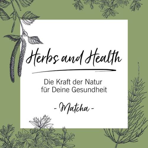 Matcha Mania – nicht nur Trend, sondern Ritual