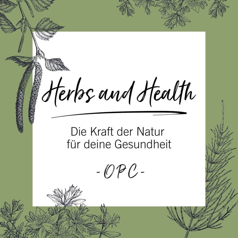 Warum wir auf Pinienrinde setzen