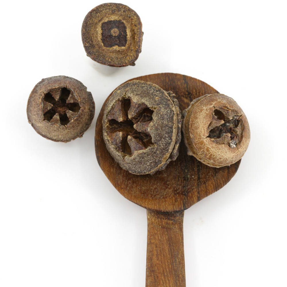 Eukalyptusfrüchte Räucherstoff