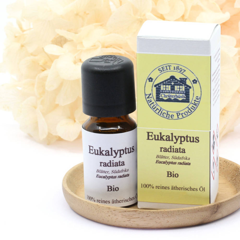 Eukalyptus radiata, ätherisches Öl Bio