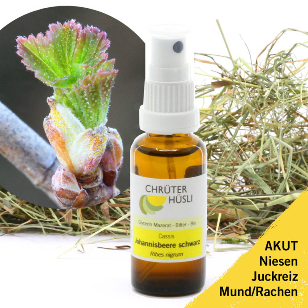 Johannisbeere, schwarze Glycerin Mazerat Spray