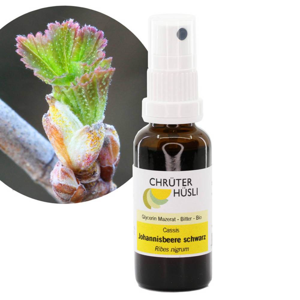 Johannisbeere, schwarze Glycerin Mazerat Spray