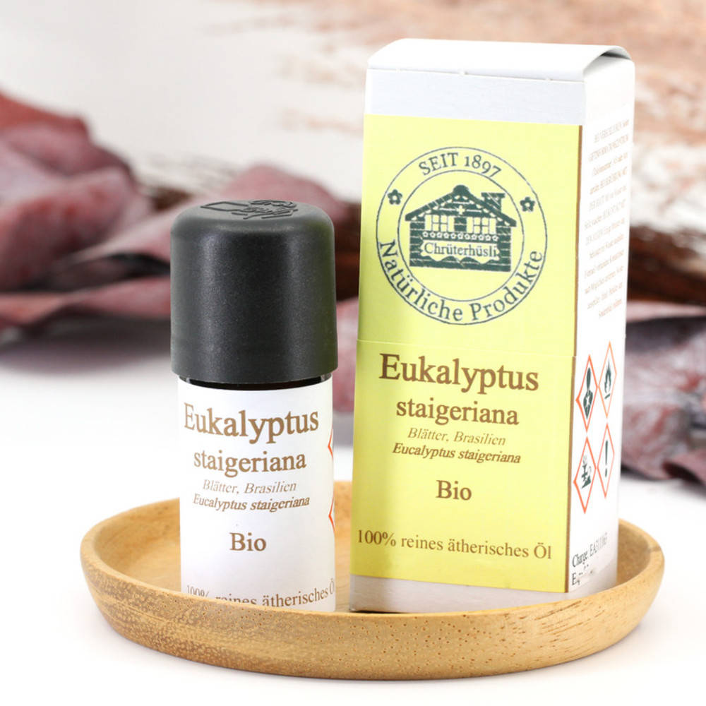 Eukalyptus staigeriana ätherisches Öl Bio