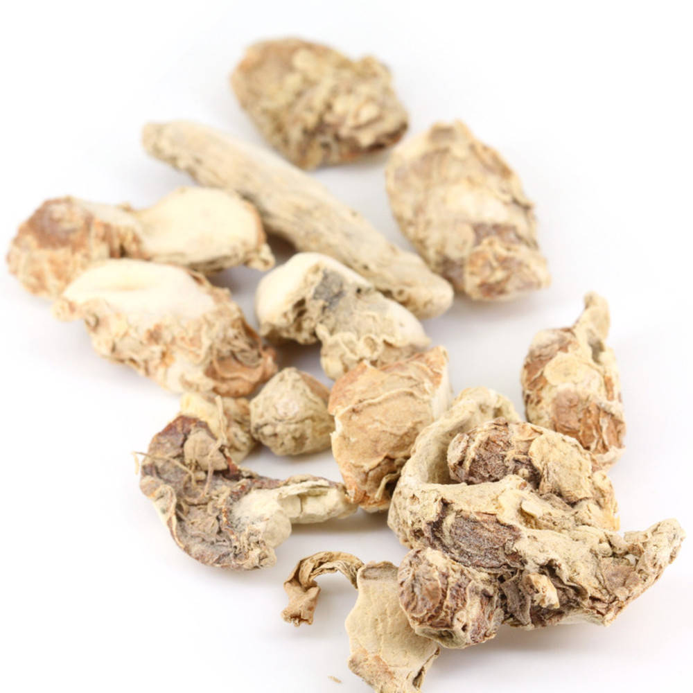 Sand Ginger ganz
