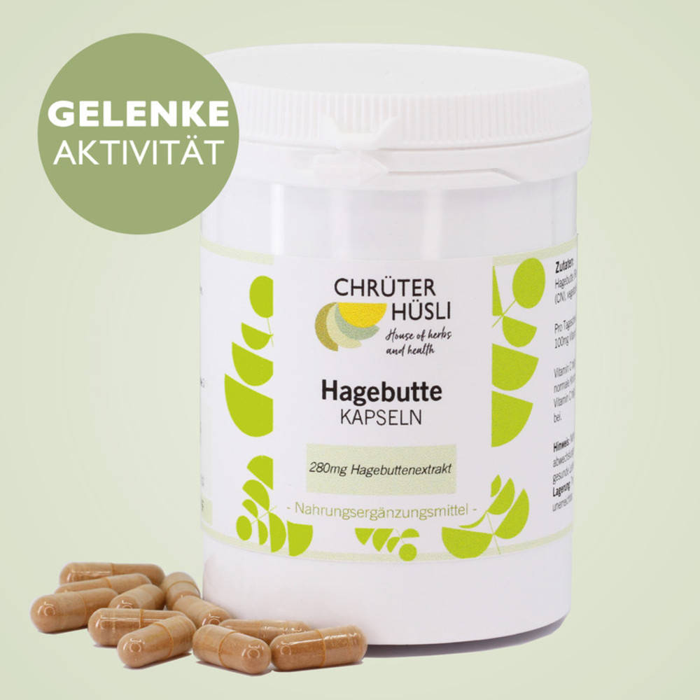 Hagebutten Kapseln