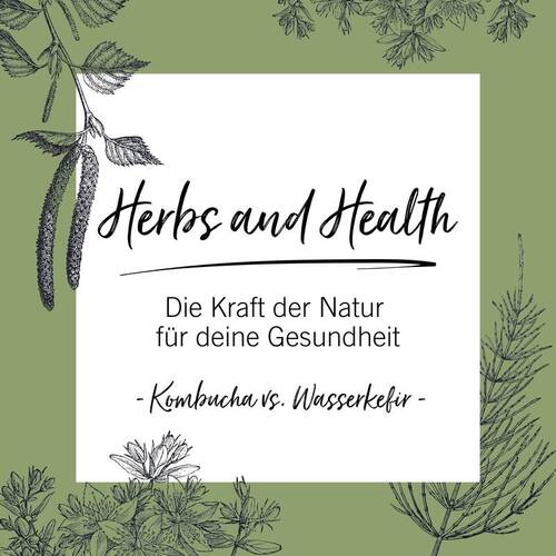 Fermentierte Erfrischung im Vergleich