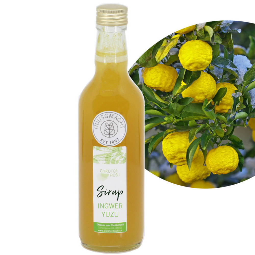 Ingwer Yuzu Sirup