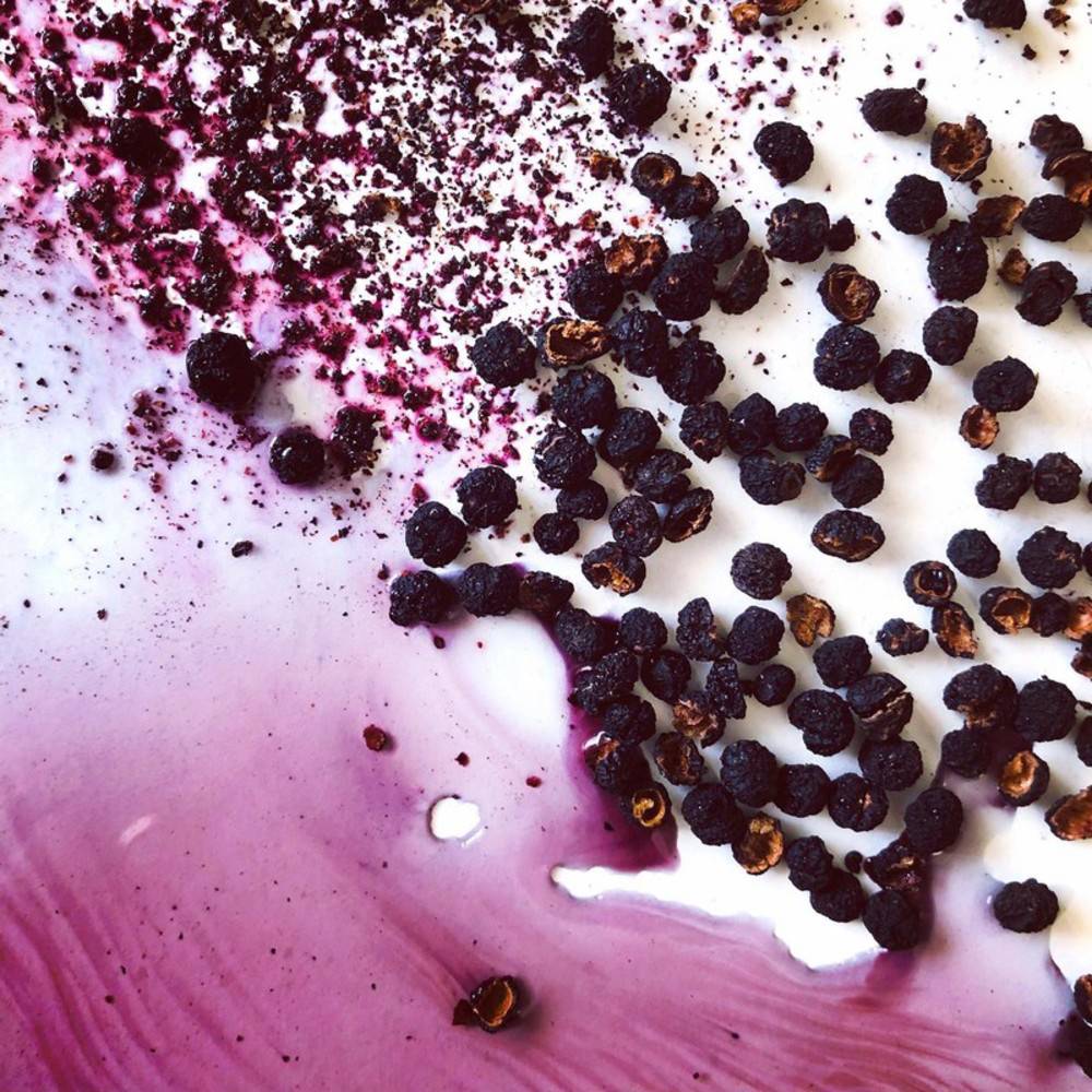 Pfeffer Tasmanischer Bergpfeffer