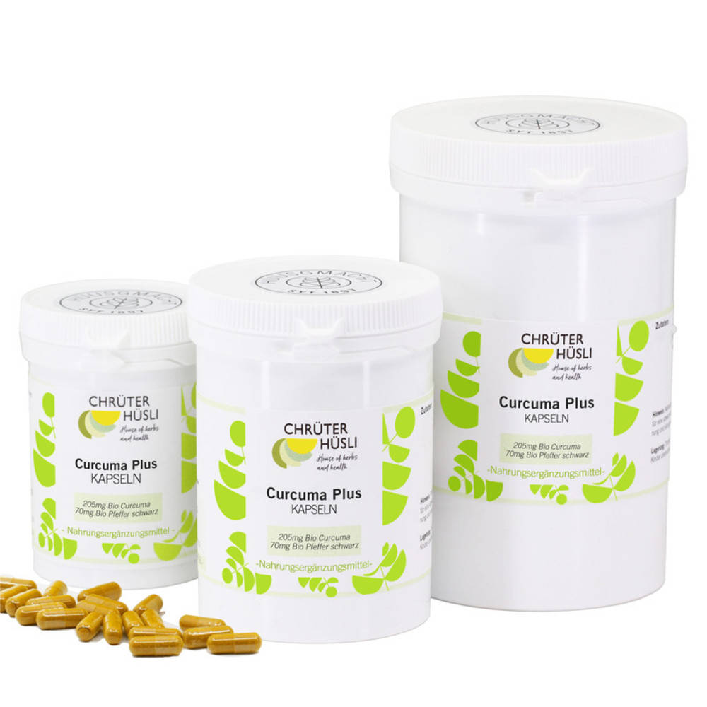 Curcuma Plus Kapseln Bio