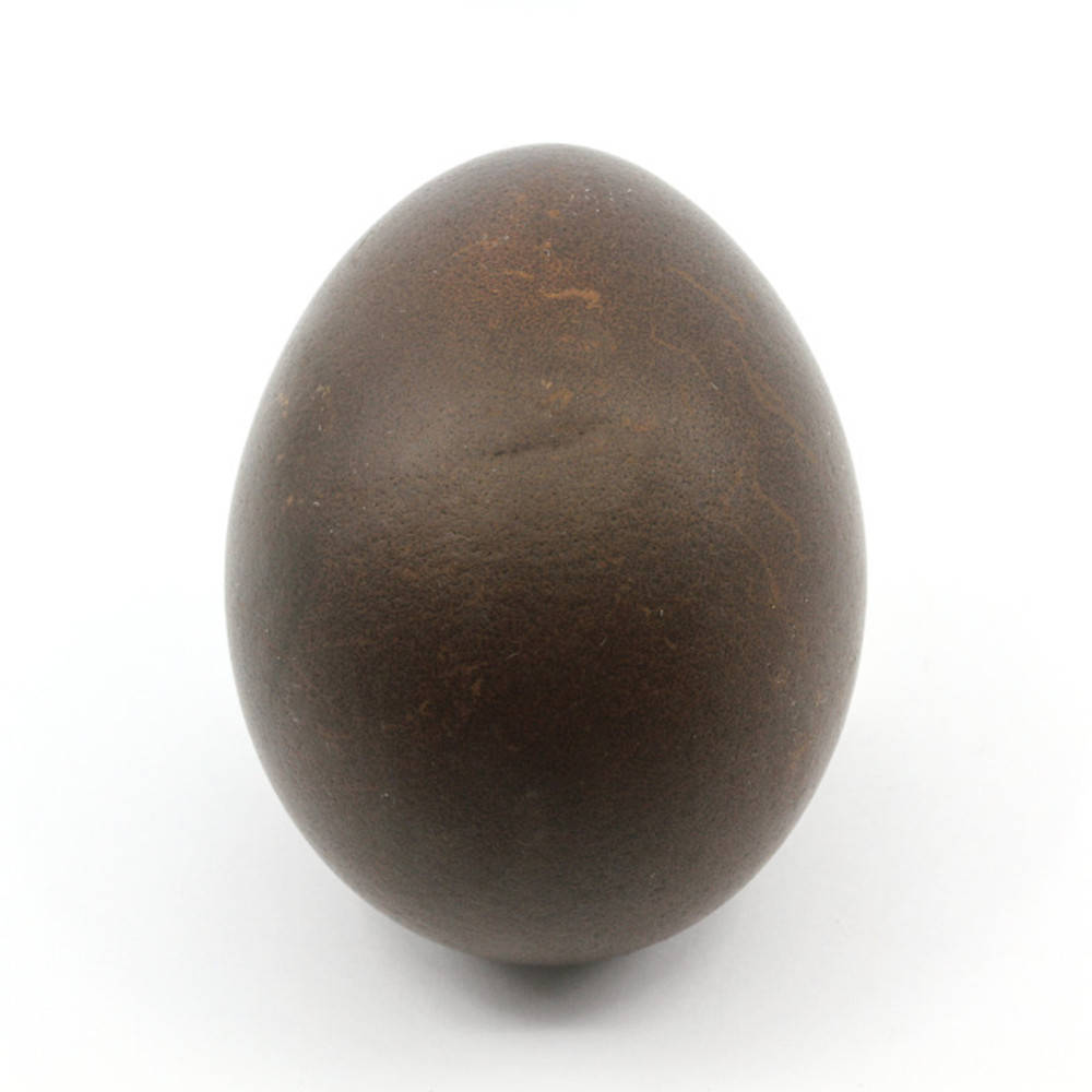 Walnussschalen Ostereierfarbe