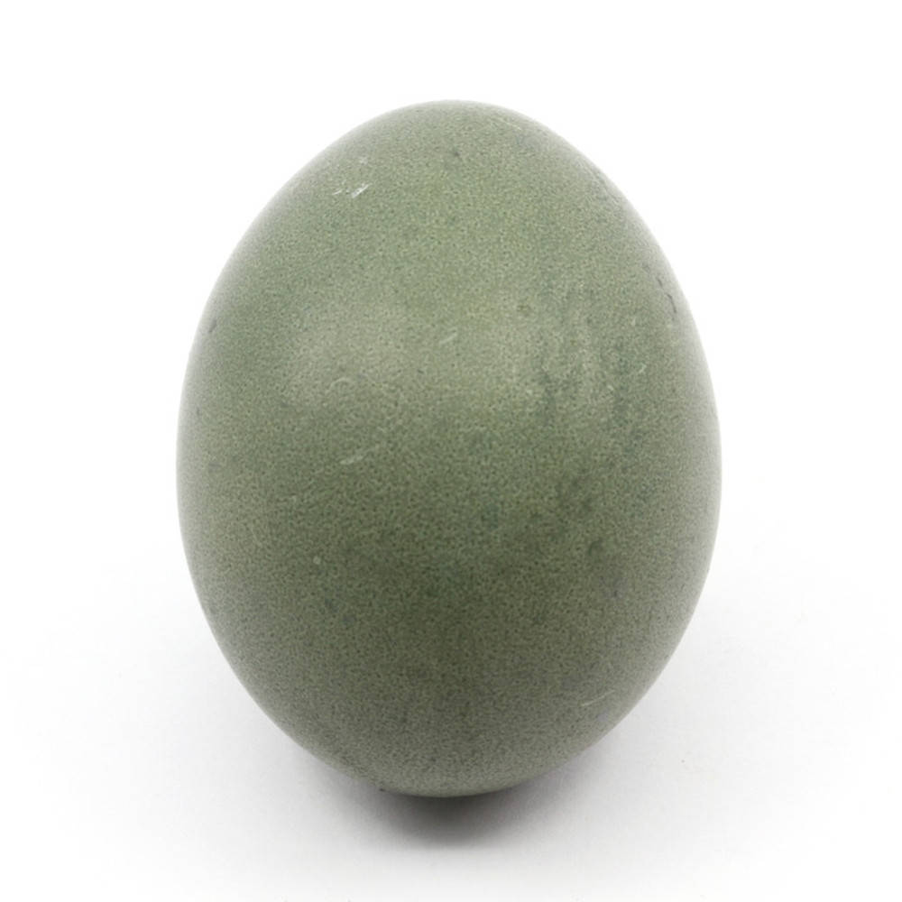 Grünmischung Ostereierfarbe