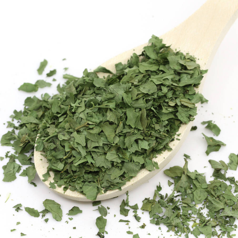 Koriander Blätter Bio