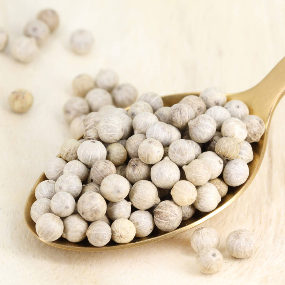 Pfeffer weiss Kampot 