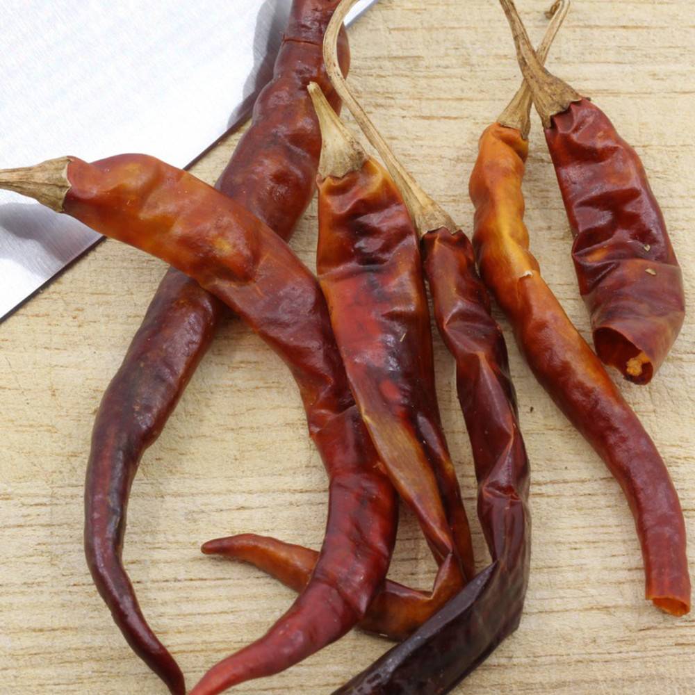 Chili De Arbol ganz