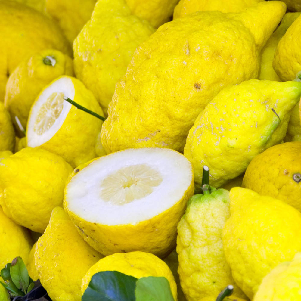 Zedrat ätherisches Öl