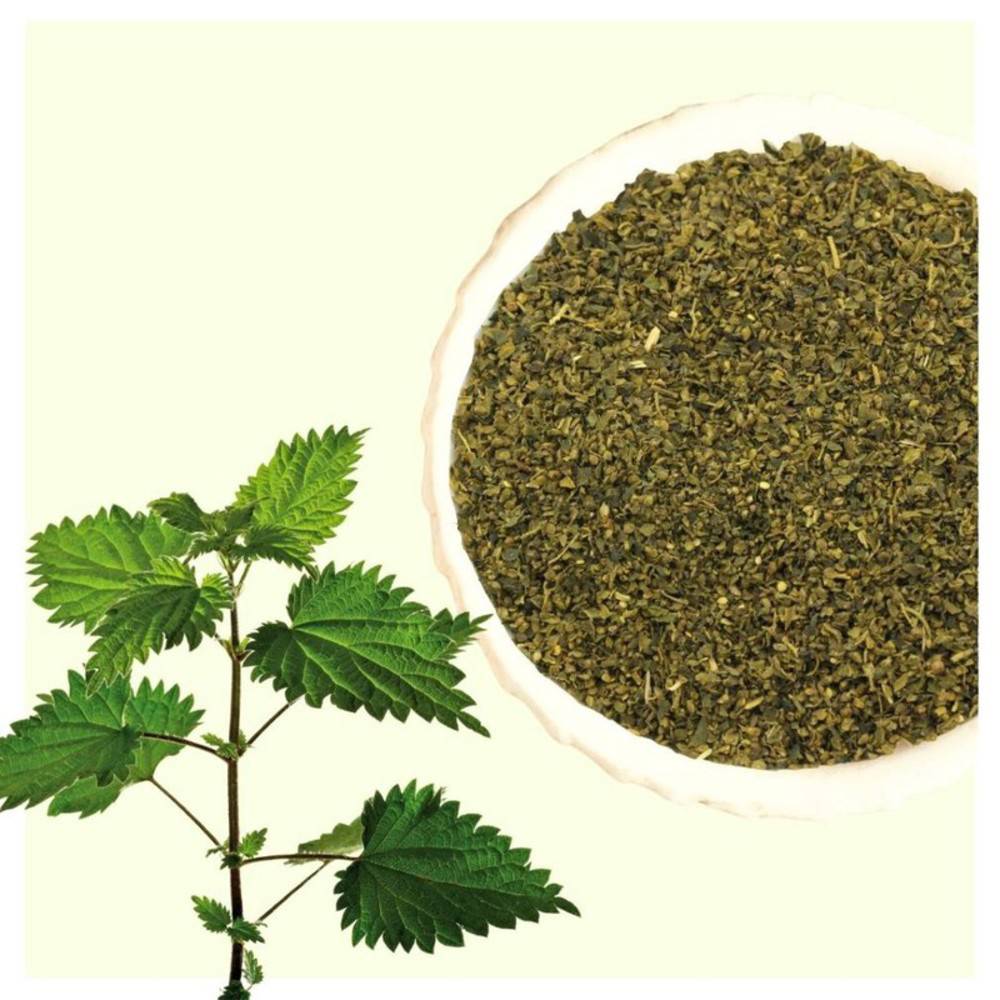 Brennnesselsamen Bio