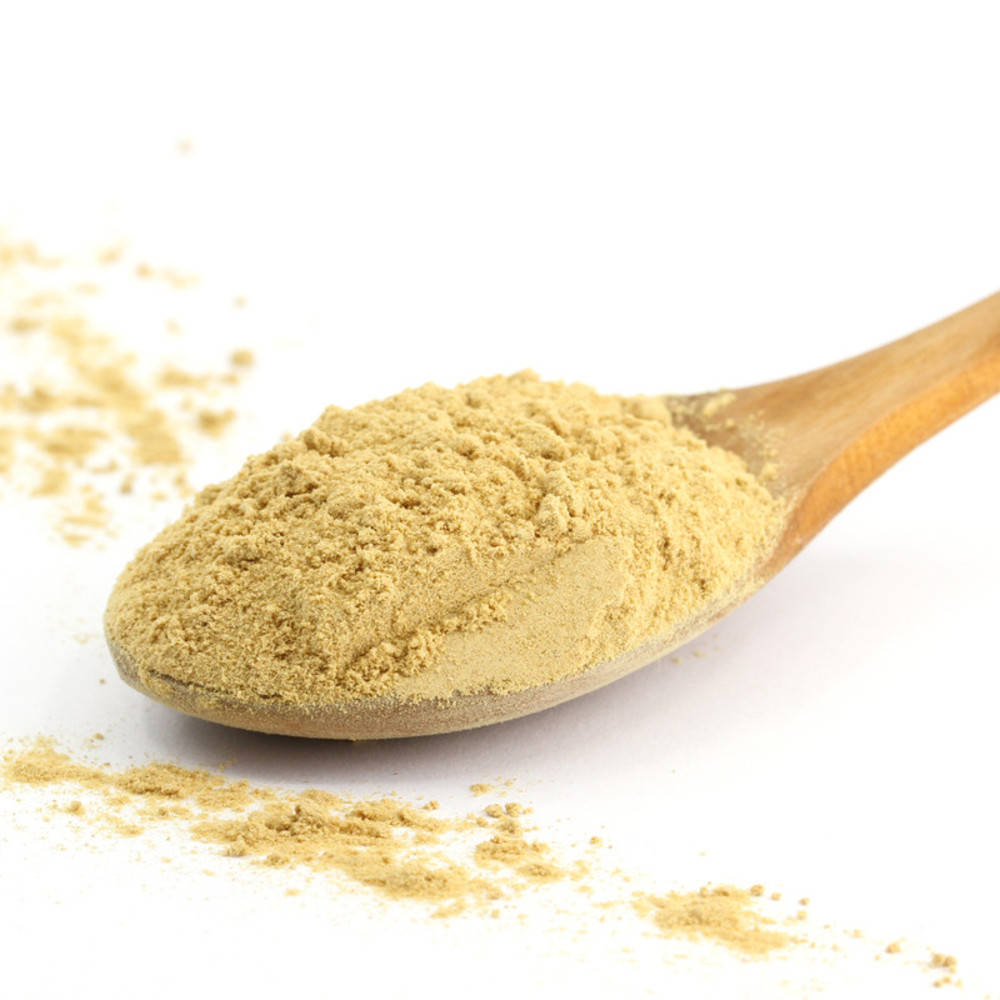 Zitroneningwer gemahlen Bio