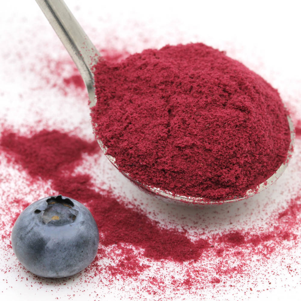 Heidelbeer Pulver