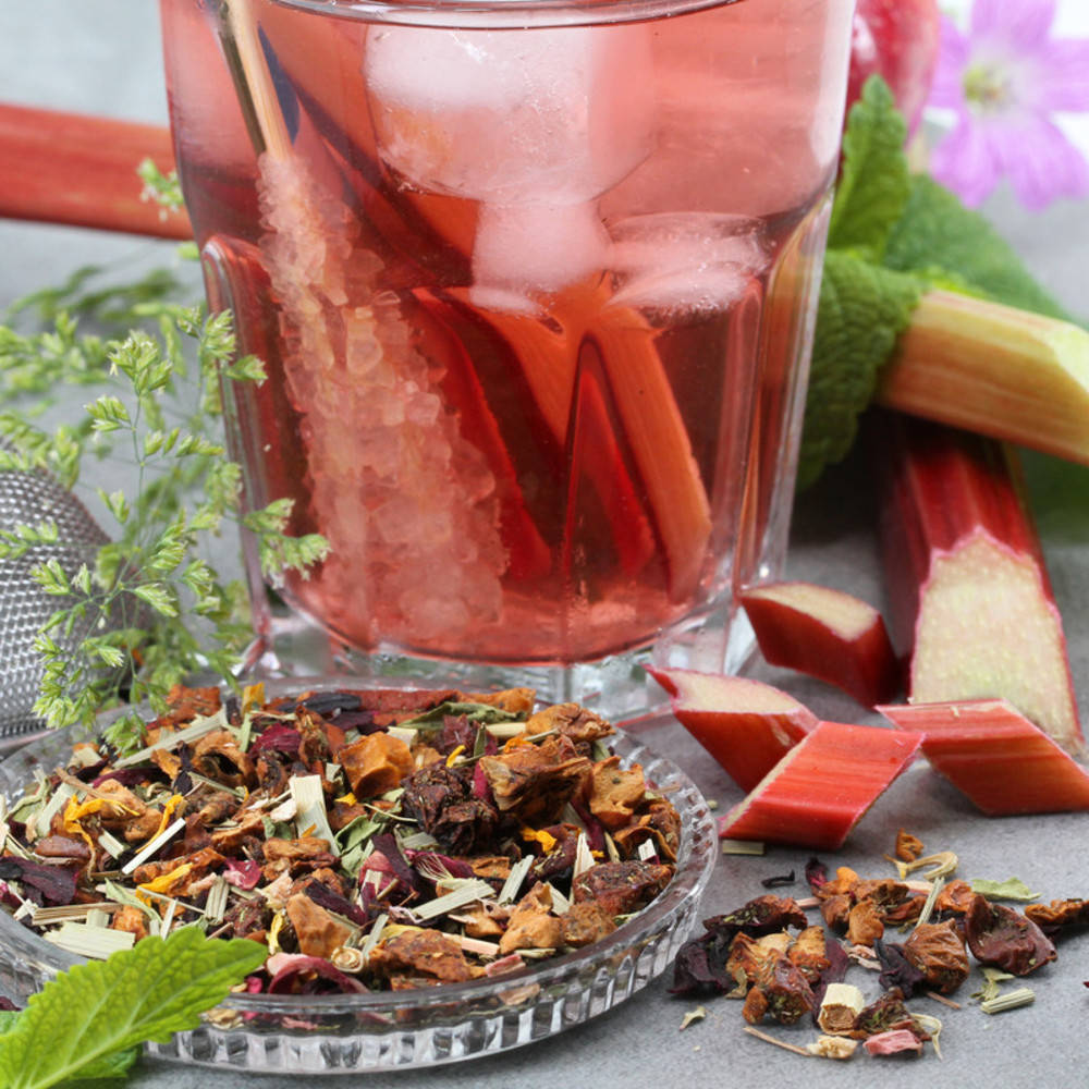 Eistee Rhabarber Bio