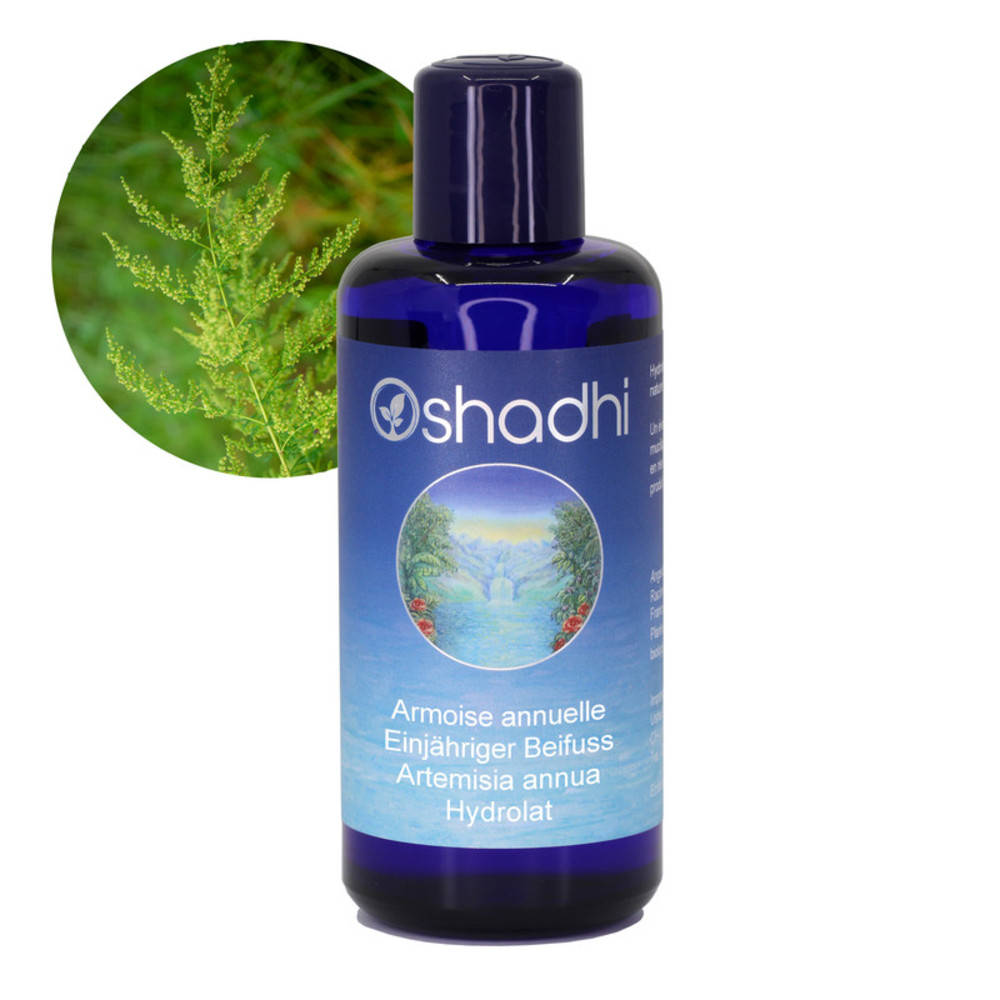 Artemisia annua Wasser - Einjähriger Beifuss Hydrolat