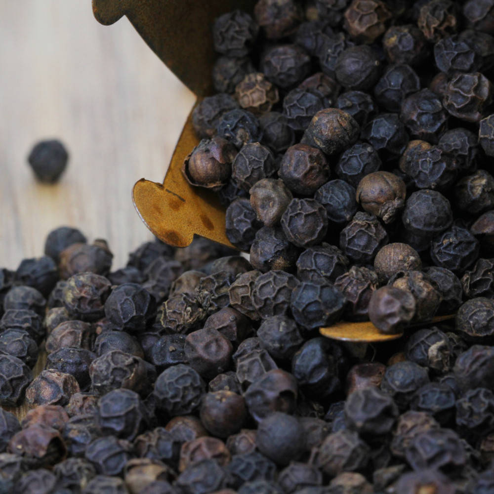 Pfeffer schwarz Rajakumari