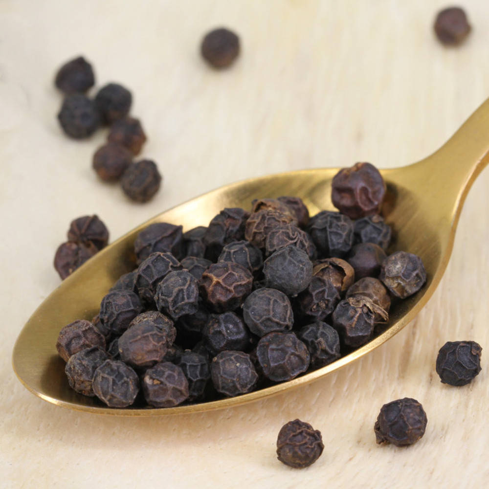 Pfeffer schwarz Rajakumari