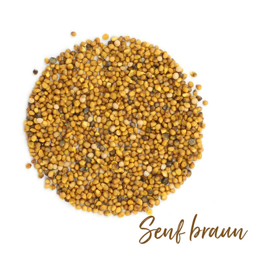 Senf Braun indisch Bio