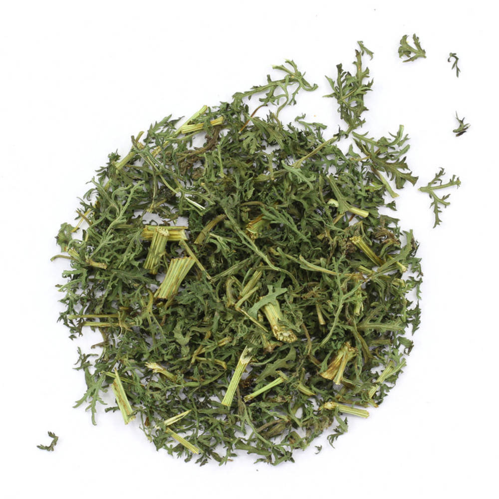 Beifuss einjährig Bio