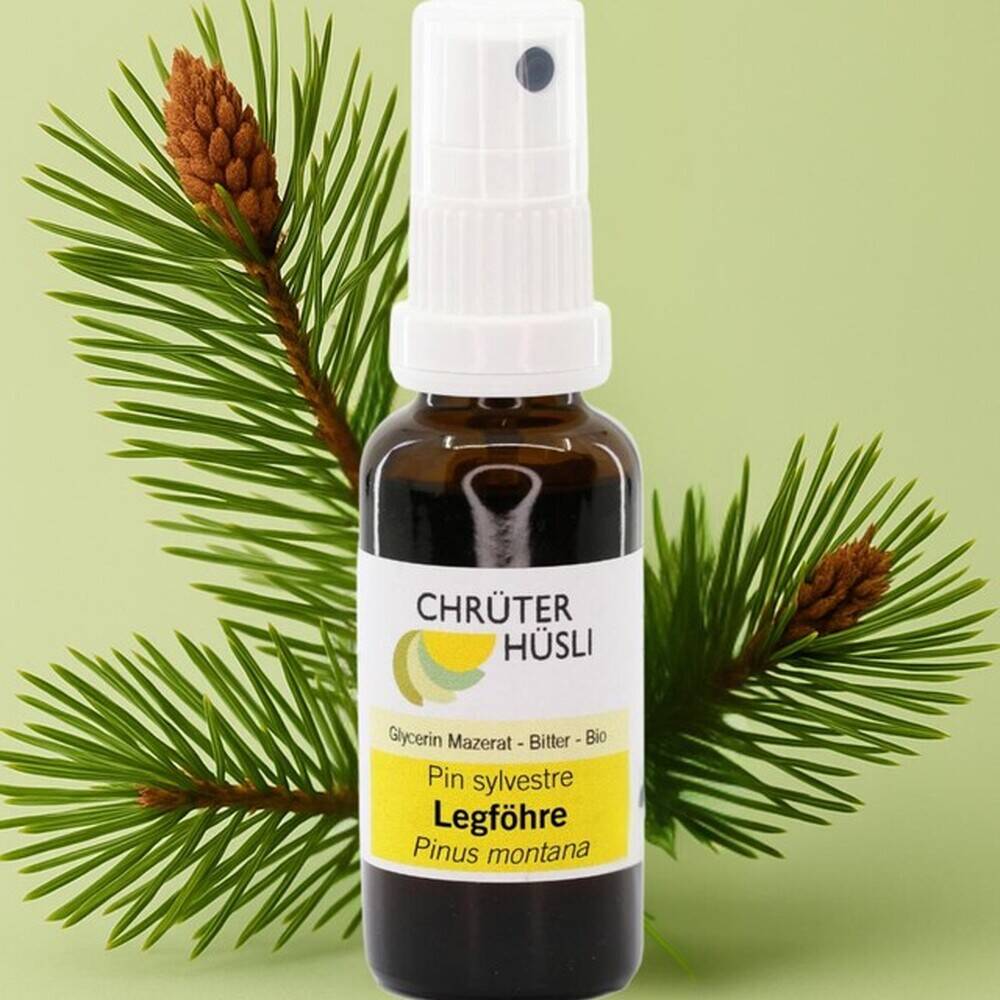 Legföhre Glycerin Mazerat Spray Bio