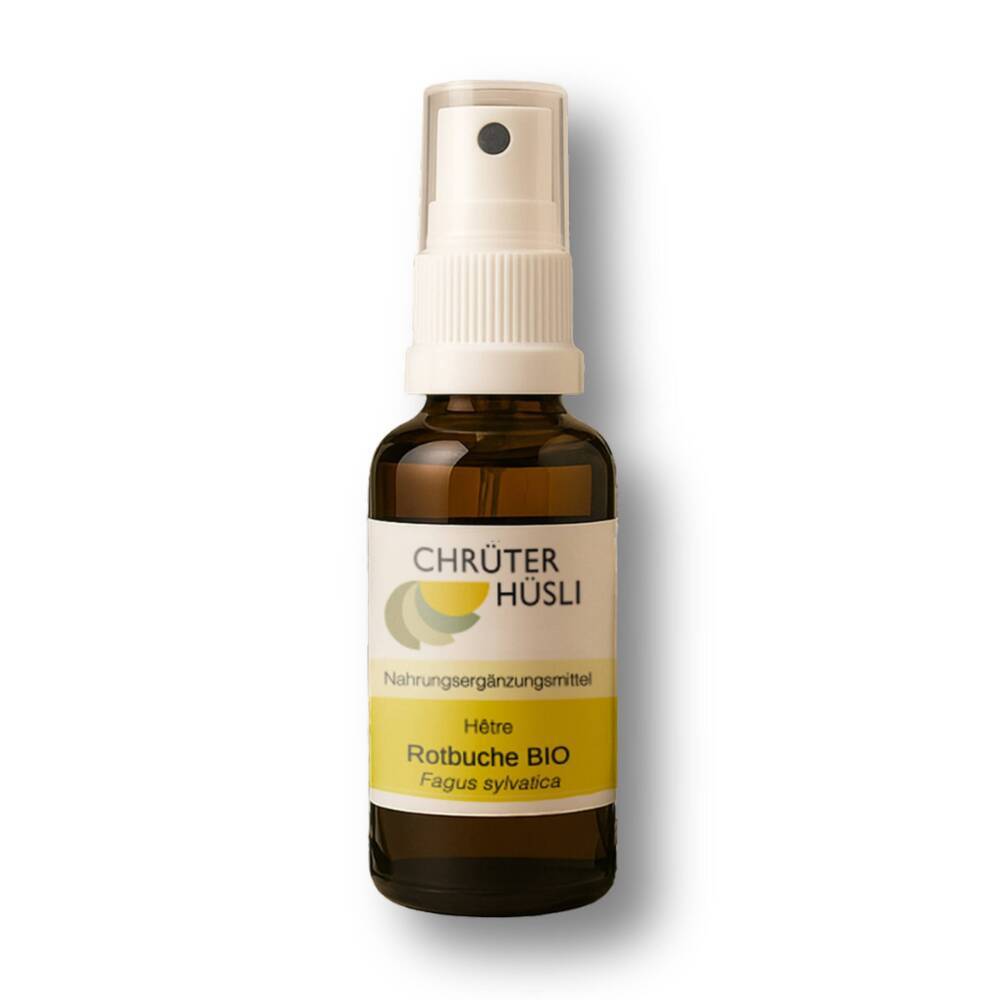 Rotbuche Glycerin Mazerat Spray Bio
