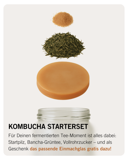 Kombucha