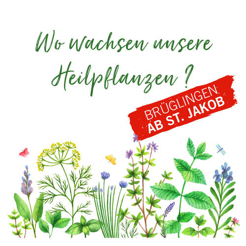 DIVERSITÄT IN BRÜGLINGEN BASEL-LAND