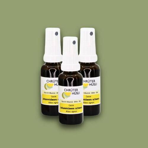 Johannisbeere Schwarz GEMMO