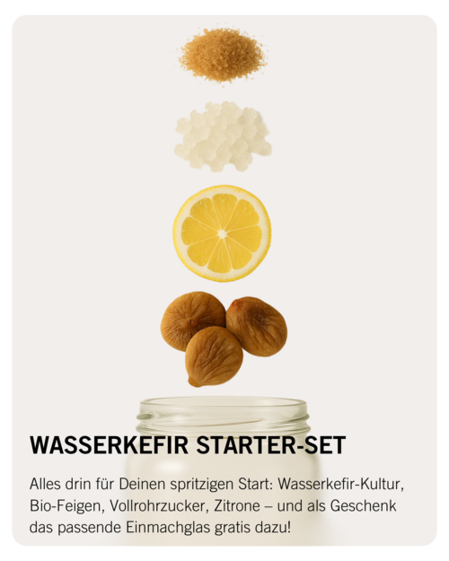 Wasserkefir Set