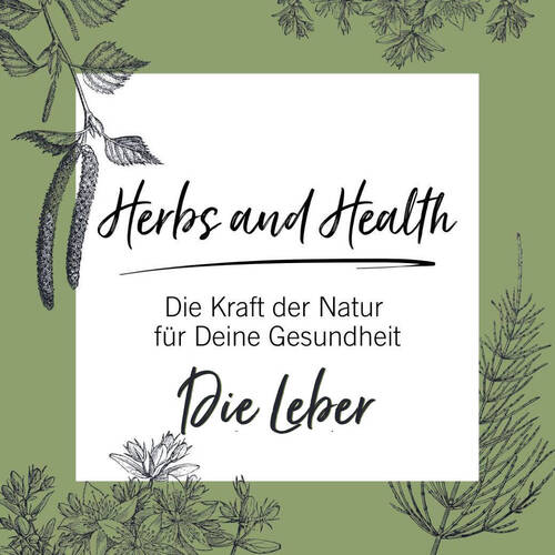 Header Leber website